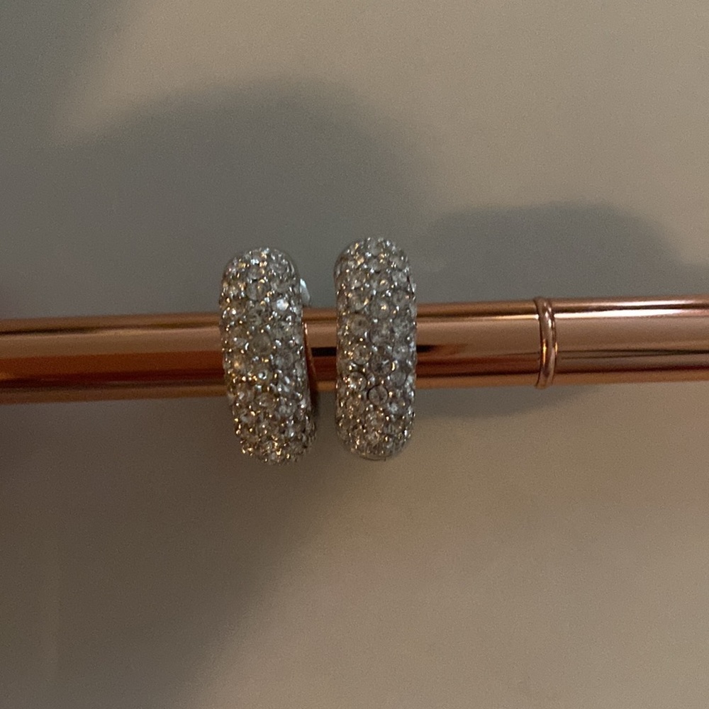 Timeless Sterling Silver earrings